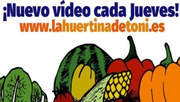 Huertita-Toni-carnet