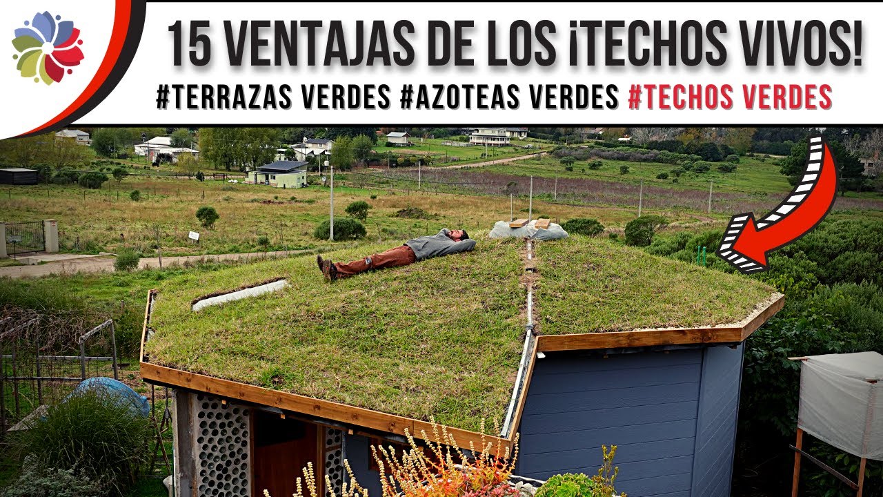 Precargar imagen