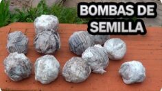 [ID: 0F4HJnz-Vcw] Youtube Automatic