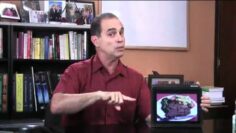 [ID: 0g6So_HqSgQ] Youtube Automatic