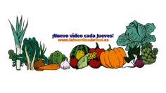 [ID: 0PWENBfeCD8] Youtube Automatic