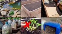 [ID: 0ZkkPkDSfvA] Youtube Automatic