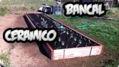 [ID: 1BhvSygb5bQ] Youtube Automatic