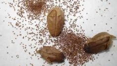 [ID: 2-TtDnkXybI] Youtube Automatic