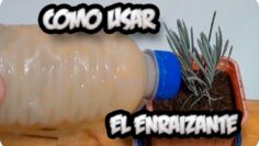 [ID: 2qvCJszyUYg] Youtube Automatic