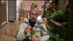 [ID: 39QpMGJzq_A] Youtube Automatic