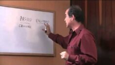 [ID: 3l5jYZFmGcE] Youtube Automatic