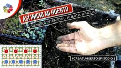 [ID: 3OVqmTCYRh4] Youtube Automatic