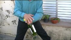 [ID: 3ZZzrNp_vq0] Youtube Automatic