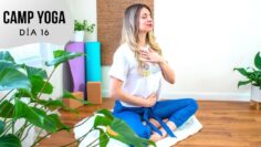 [ID: 4535tw0kcfE] Youtube Automatic