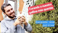 [ID: 4bMj90Gi8bQ] Youtube Automatic