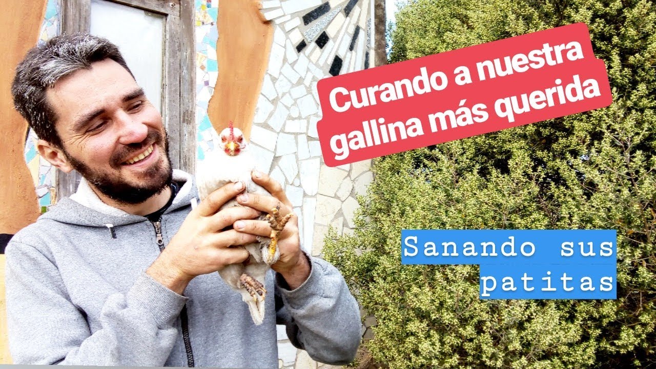 Precargar imagen