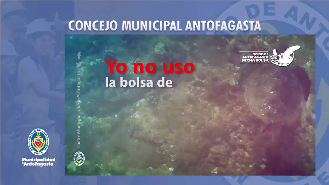 Precargar imagen