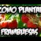 [ID: 4ZMssIquB7c] Youtube Automatic