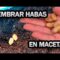 [ID: 5GCPHM_MPZ4] Youtube Automatic
