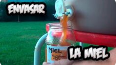 [ID: 66o5ZdRZ338] Youtube Automatic