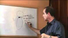 [ID: 6fO5Hi6-tqY] Youtube Automatic