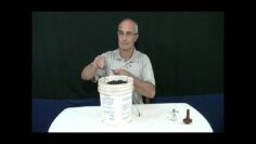 [ID: 6NPAf7zVZ_A] Youtube Automatic