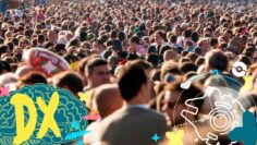 [ID: 77VWa8PjVnA] Youtube Automatic