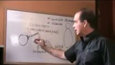 [ID: 7W0A7iCx2PA] Youtube Automatic