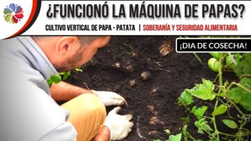 [ID: 8OnjPoBKUGQ] Youtube Automatic