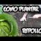 [ID: 8PD6ZK8QqZA] Youtube Automatic