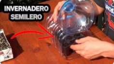 [ID: 8TXwKS2eFSc] Youtube Automatic