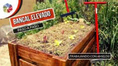 [ID: 8XZt7Elq43U] Youtube Automatic