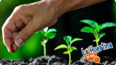 [ID: 9_bWmqguTSQ] Youtube Automatic