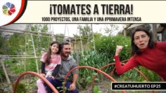 [ID: 9MaIHG_bjz4] Youtube Automatic