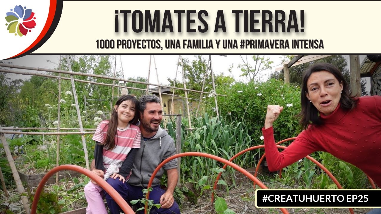 Precargar imagen