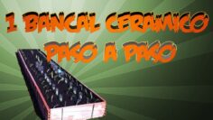 [ID: _A9iMfEpm9k] Youtube Automatic