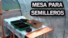 [ID: abnZdlk0Hy8] Youtube Automatic