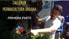 [ID: aF9bY4pI9Uk] Youtube Automatic