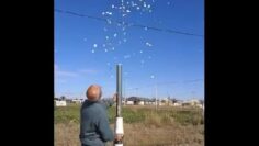 [ID: afqrefeORmw] Youtube Automatic