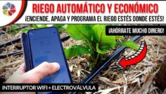 [ID: Ah2wRwh4P_8] Youtube Automatic