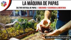 [ID: Ao6lGaA9s-Q] Youtube Automatic