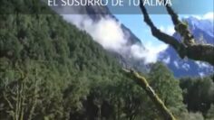 [ID: AQ2LSuChNJM] Youtube Automatic