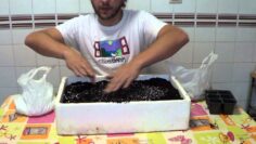 [ID: B0o_6yIeFsE] Youtube Automatic