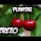 [ID: b0O_a5iHm7Y] Youtube Automatic