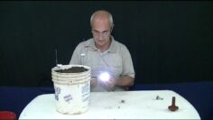 [ID: b3Ft7gJsA1Y] Youtube Automatic