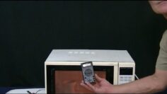 [ID: B5lm7JA41gQ] Youtube Automatic