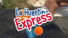 [ID: -Bc5brYg6FI] Youtube Automatic