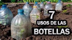 [ID: bF177LNB18s] Youtube Automatic