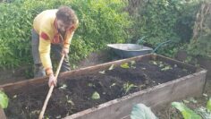 [ID: BhRyrW2M5m0] Youtube Automatic