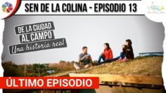 [ID: _bJQghxixs0] Youtube Automatic