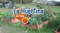 [ID: BOG2VhlK0Gw] Youtube Automatic