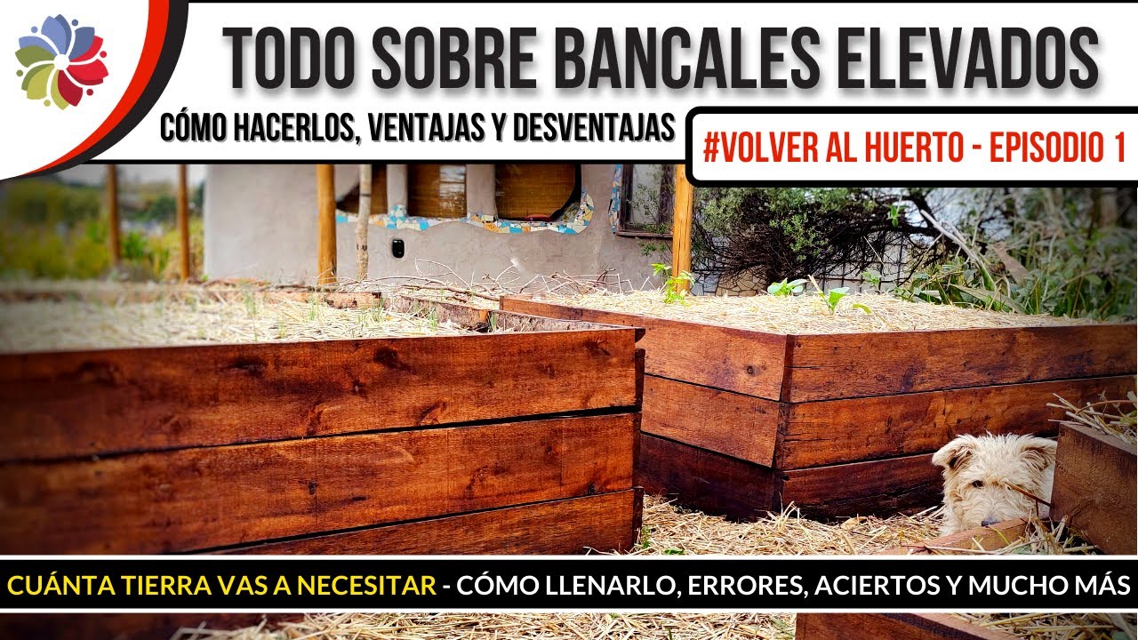 Precargar imagen