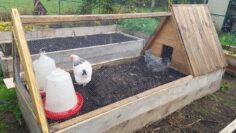 [ID: cqaa152JNBU] Youtube Automatic