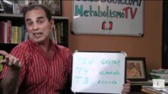 [ID: CVXuxjGL1BQ] Youtube Automatic